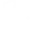 Bluecoats logo