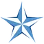 Blue Stars logo