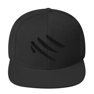 Embroidered Snapback Hat