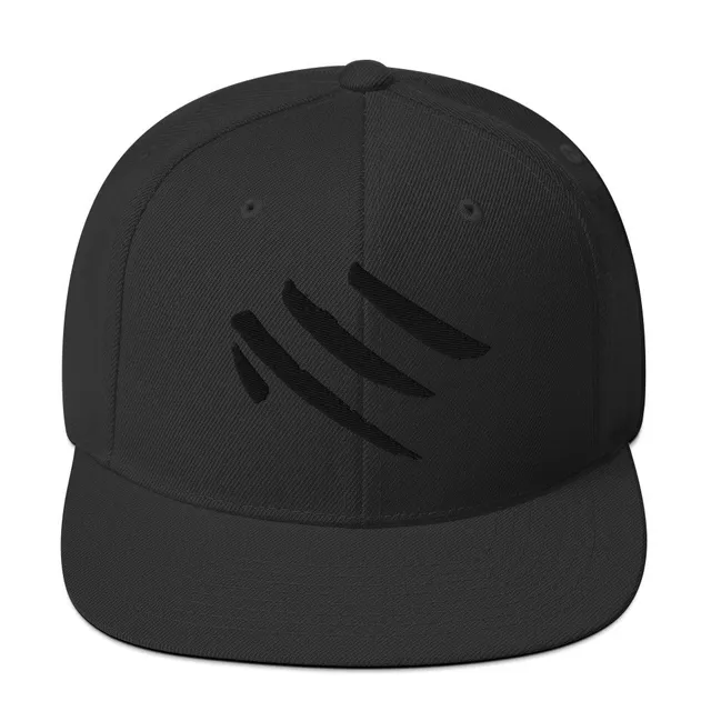 Embroidered Snapback Hat