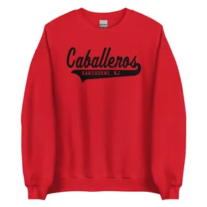 Black Classic Swish Unisex Sweatshirt