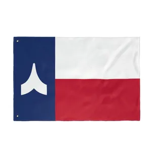 Texas Chevron Flag