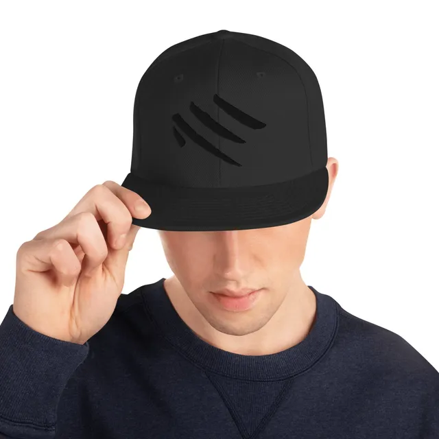 Embroidered Snapback