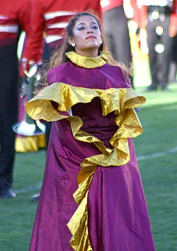 Berry/Gold Guard Capes