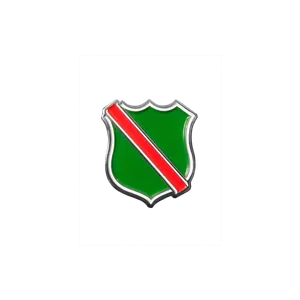 SCV Logo Pin