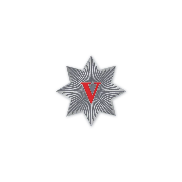 SCV V Star Pin