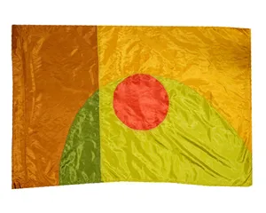 Abstract Binary Sunrise Flag