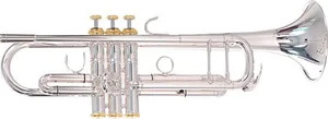 System Blue Trumpet