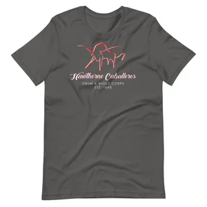 Classic Bull Unisex t-shirt