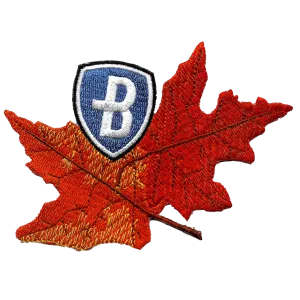 Autumn Leaves Patch