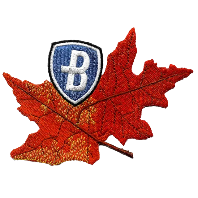 Autumn Leaves Patch