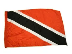 Colts "76" Parade Flag for 6ft Pole