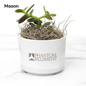 PR House Plants