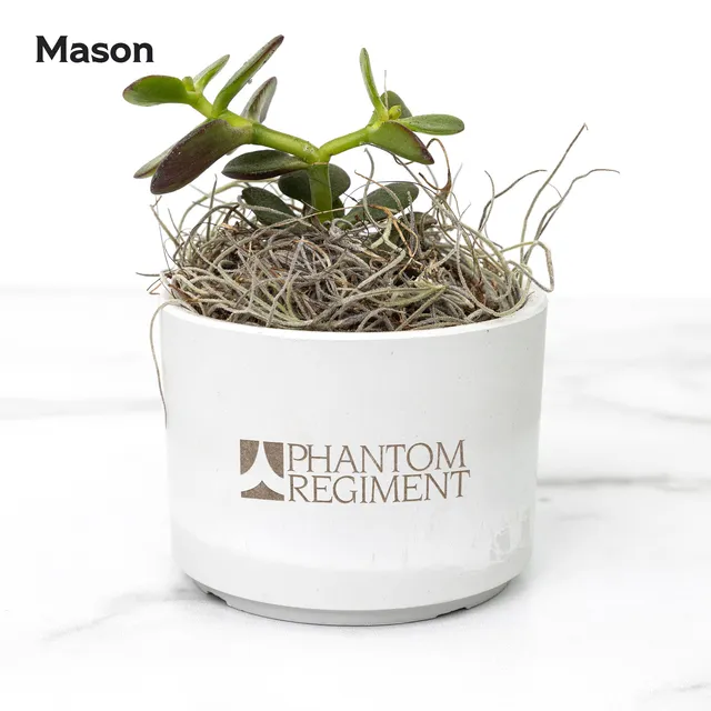 PR House Plants